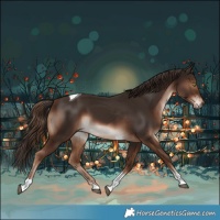 Horse Color:Liver Chestnut Tobiano 