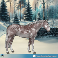 Horse Color:White Spotted Chocolate Silver Black Chinchilla Sabino 