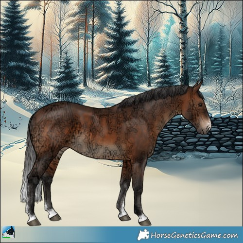 Horse Color:Brown Ice Sabino 