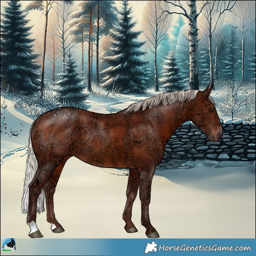 Horse Color:Chocolate Silver Bay Ice Rabicano 
