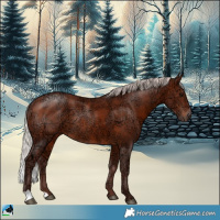 Horse Color:Chocolate Silver Bay Ice Rabicano