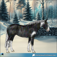 Horse Color:Midnight Silver Brown Chinchilla Ice Sabino Rabicano 