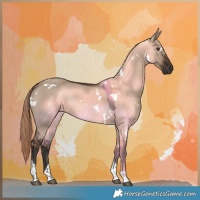 Horse Color:White Spotted Liver Red Dun Tobiano 