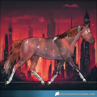 Horse Color:White Spotted Buckskin Dun 