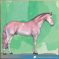 Horse Color:Watercolor White Spotted Liver Red Dun Onyx 