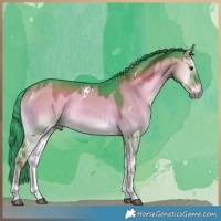 Horse Color:Watercolor White Spotted Liver Red Dun Onyx 