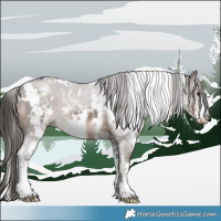 Horse Color:White Spotted Liver Chestnut Sabino 