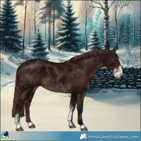 Horse Color:Chocolate Brown Ice Sabino 