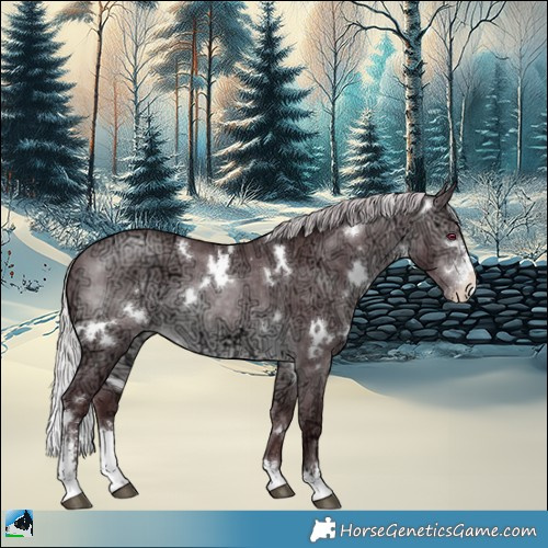 Horse Color:White Spotted Chocolate Silver Brown Chinchilla Ice Sabino