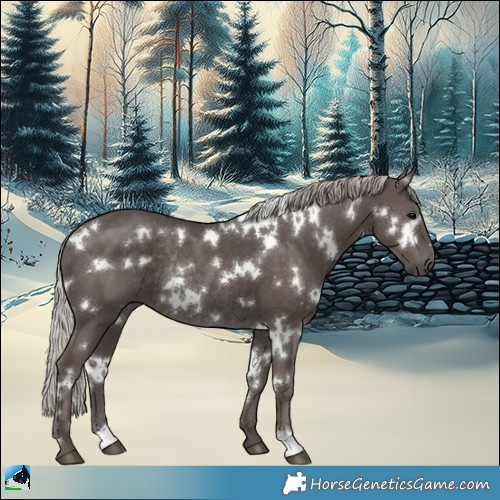 Horse Color:White Spotted Silver Black Rabicano 