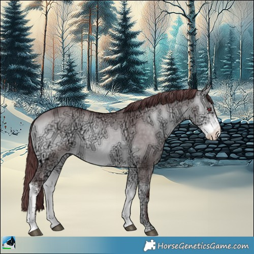 Horse Color:Chocolate Buckskin Chinchilla Ice Onyx Sabino Rabicano 