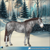 Horse Color:Chocolate Buckskin Chinchilla Ice Onyx Sabino Rabicano 