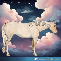 Horse Color:Palomino Roan Dun 