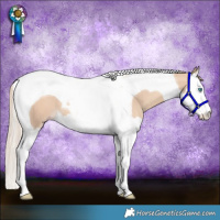 Horse Color:Gold Champagne Dun Splash Tobiano 