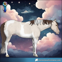 Horse Color:Classic Champagne Roan Dun Tobiano