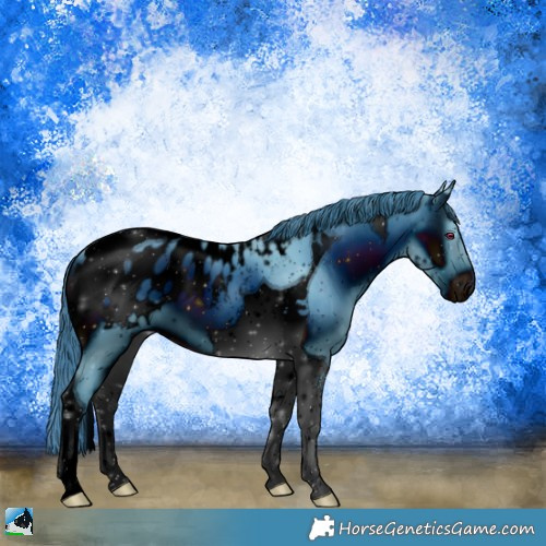 Horse Color:ERROR: UNKNOWN ANOMALY