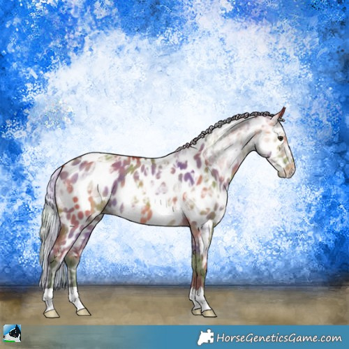 Horse Color:Nacre Silver Brown Ice Dun Appaloosa 