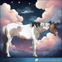 Horse Color:Bay Roan Tobiano 