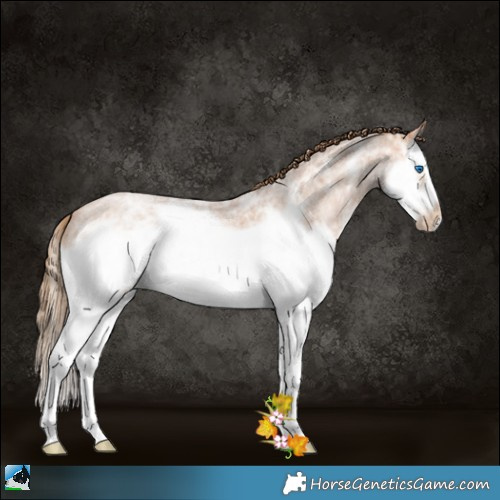 Horse Color:Brown Ice Roan Pearl Splash Frame 