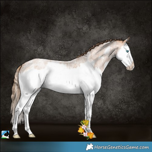 Horse Color:Brown Ice Roan Pearl Splash Frame