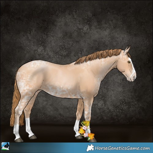 Horse Color:Bay Ice Pearl Splash 