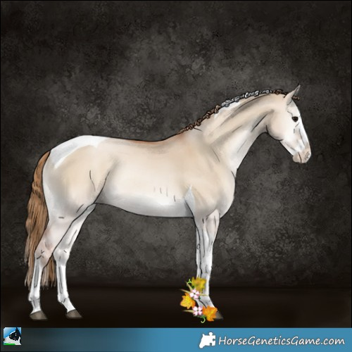 Horse Color:White Spotted Grullo Pearl Onyx Splash Tobiano 