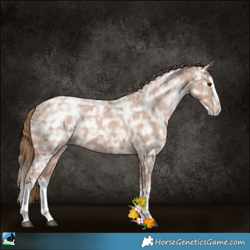 Horse Color:White Spotted Black Ice Pearl Splash 