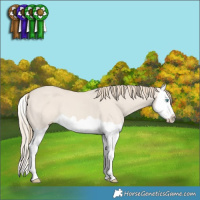 Horse Color:Smoky Creme Dun Splash 