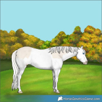 Horse Color:Silver Smoky Creme Dun Splash