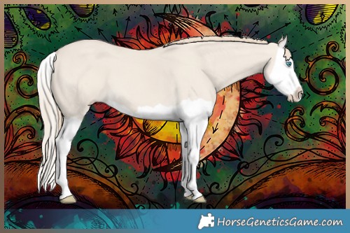 Horse Color:Smoky Creme Dun Splash 