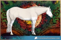 Horse Color:Smoky Creme Dun Splash