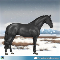 Horse Color:Black Rabicano 