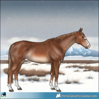 Horse Color:Chestnut Rabicano 