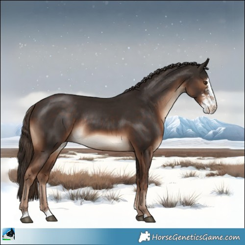 Horse Color:Liver Chestnut Sabino Rabicano 