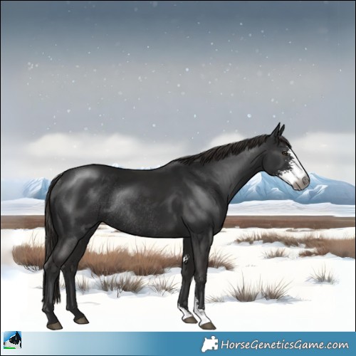 Horse Color:Gray Liver Chestnut Sabino Rabicano 