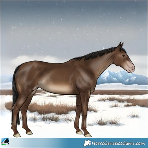 Horse Color:Gray Classic Champagne Rabicano 