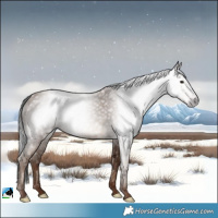 Horse Color:Gray Classic Champagne Rabicano
