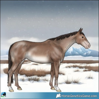 Horse Color:Classic Champagne 