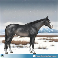 Horse Color:Black Rabicano 