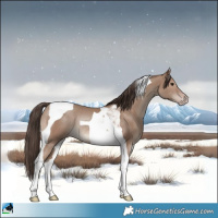 Horse Color:Classic Champagne Tobiano Rabicano