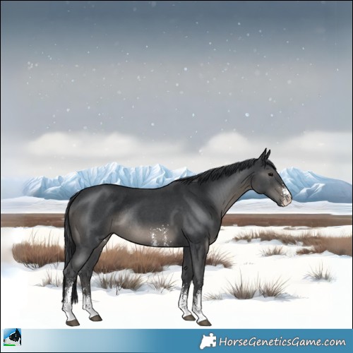 Horse Color:Black Sabino Rabicano 