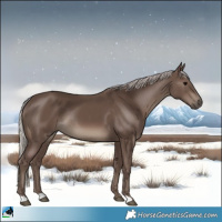 Horse Color:Silver Black Rabicano 