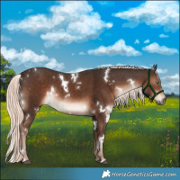 Horse Color:White Spotted Liver Chestnut Mushroom Rabicano 