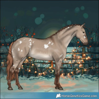 Horse Color:White Spotted Liver Red Dun Rabicano