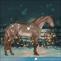 Horse Color:White Spotted Liver Red Dun Rabicano