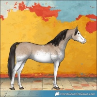 Horse Color:White Spotted Liver Red Dun Rabicano 