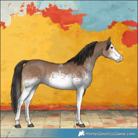 Horse Color:White Spotted Liver Red Dun Rabicano 
