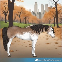 Horse Color:White Spotted Liver Red Dun Rabicano