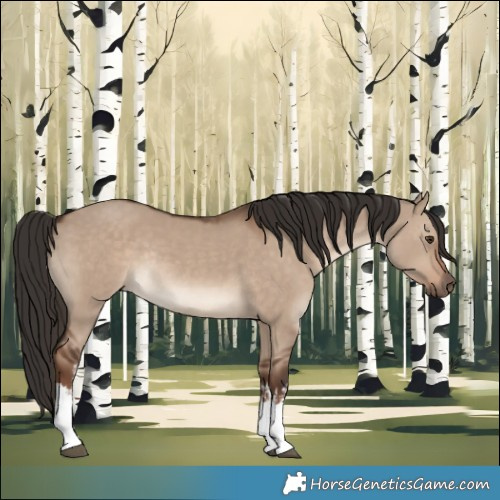 Horse Color:White Spotted Liver Red Dun Rabicano 