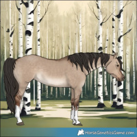Horse Color:White Spotted Liver Red Dun Rabicano 